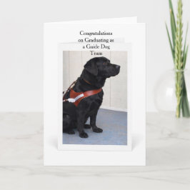 Guide Dog Graduation Congratulations Card Karte