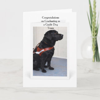 Guide Dog Graduation Congratulations Card Karte