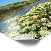 Guilford Marsh Foto Print (Ecke)