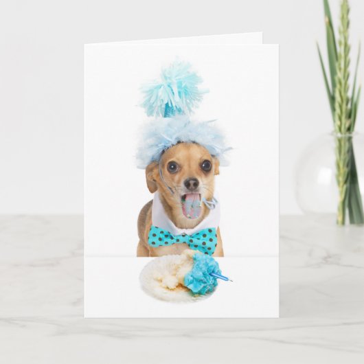 Guilty Dog Eating Birthday Cake Greeting Card Karte (Vorderseite)