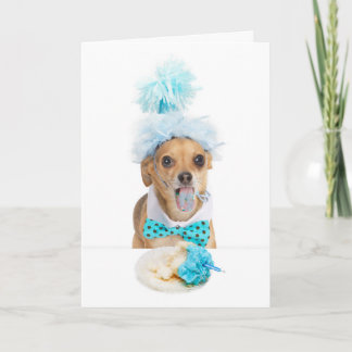 Guilty Dog Eating Birthday Cake Greeting Card Karte