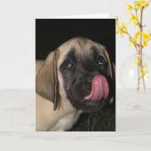 Guilty Mastiff Puppy Birthday Card Karte (Gelbe Blume)