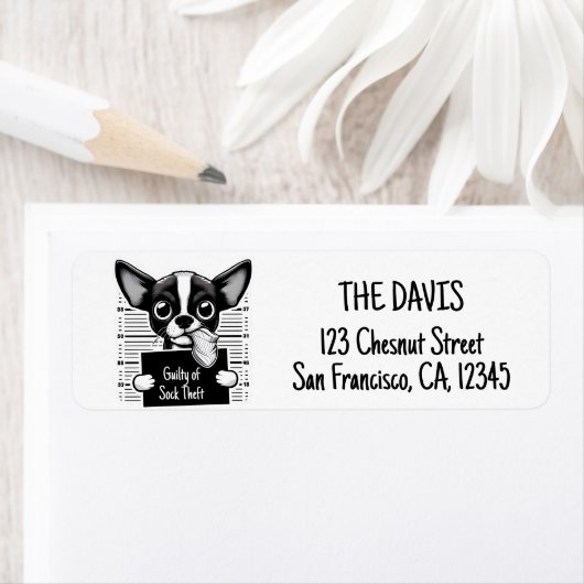 Guilty Paws Tasse Shot - Chihuahua - (Insitu)