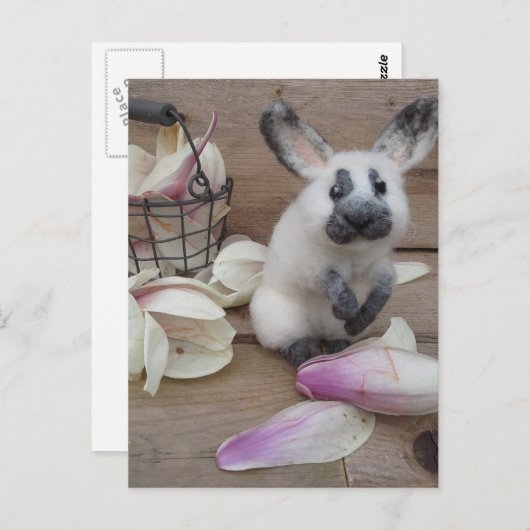 Guilty rabbit postkarte (Vorne/Hinten)