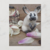 Guilty rabbit postkarte (Vorderseite)