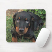 Guilty Rottweiler Puppy Mouse Pad Mousepad (Mit Mouse)