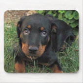 Guilty Rottweiler Puppy Mouse Pad Mousepad (Vorne)