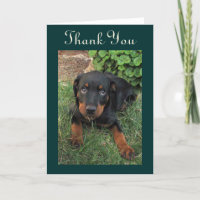 Guilty Rottweiler Welpe Danke, Karte