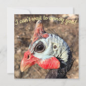 Guinea (Vorderseite)