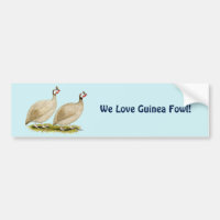 Guinea Buff Dundott Fowl