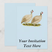 Guinea Buff Dundott Fowl Einladung (Vorne/Hinten)