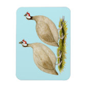Guinea Buff Dundott Fowl Magnet (Vertikal)