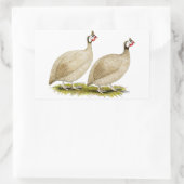 Guinea Buff Dundott Fowl Rechteckiger Aufkleber (Tasche)