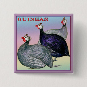 Guinea Button