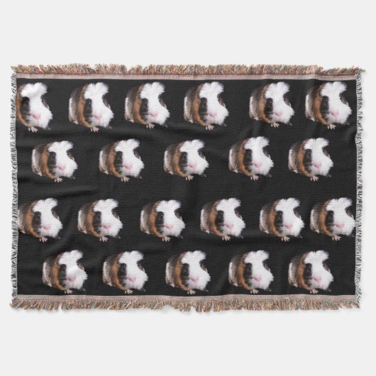 Guinea der Tortoiseshell Decke (Vorderseite)