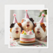 Guinea, die Kuchen fressen, Guinea Schweine Geburt Einladung (Vorne/Hinten)