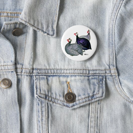 Guinea drei button (Beispiel)