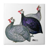 Guinea drei fliese (Vorderseite)