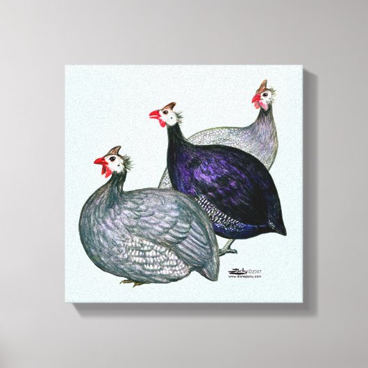 Guinea drei leinwanddruck (Vorderseite)