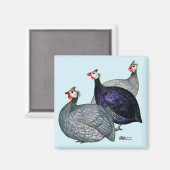 Guinea drei magnet (Vorderseite/Rückseite)