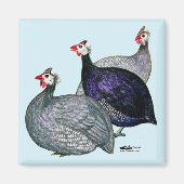 Guinea drei magnet (Vorne)