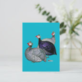 Guinea drei postkarte (Stehend Vorderseite)