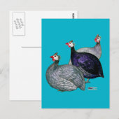 Guinea drei postkarte (Vorne/Hinten)