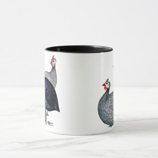 Guinea drei tasse (Zentrum)