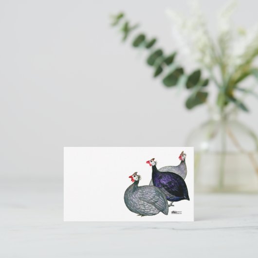 Guinea drei visitenkarte (Stehend Vorderseite)