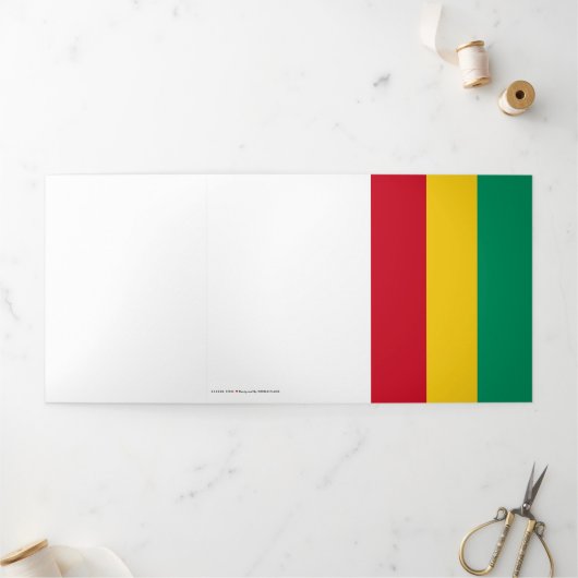 Guinea Dreifach Gefaltete Karte (Außenbereich)