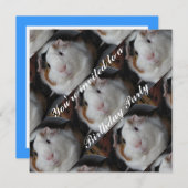 Guinea Einladung (Vorne/Hinten)