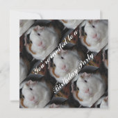 Guinea Einladung (Vorderseite)