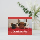 Guinea Einladungspostkarte (Stehend Vorderseite)