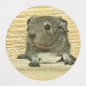 Guinea Etiketten (Design 1)