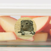 Guinea Etiketten (Befestigt)
