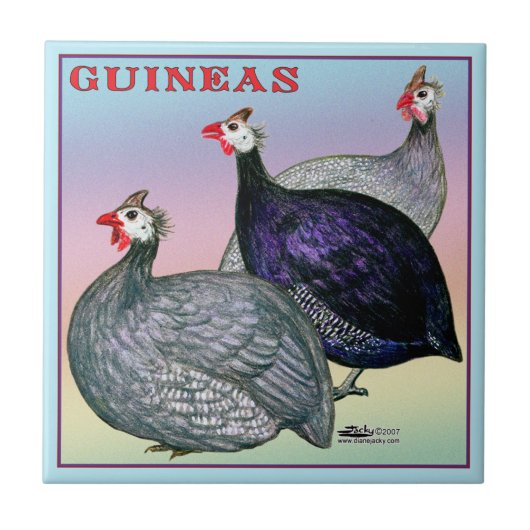 Guinea Fliese (Vorderseite)