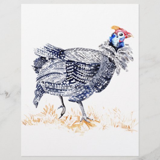 Guinea Flyer (Vorne)