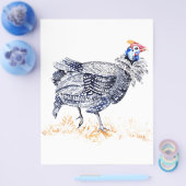 Guinea Flyer (Einzeln)