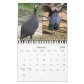 Guinea Fowl Calendar for 2012 Kalender (Feb 2027)