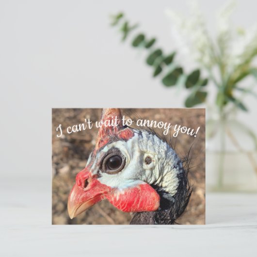 Guinea Fowl Post Card Postkarte (Stehend Vorderseite)