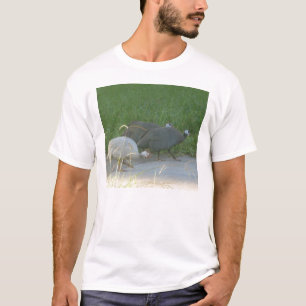 Guinea Fowl T - Shirt