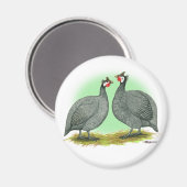 Guinea: Französisch Magnet (Vorderseite/Rückseite)