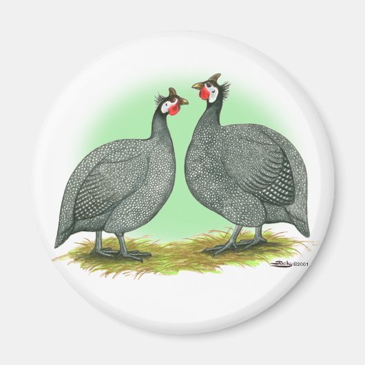 Guinea: Französisch Magnet (Vorne)