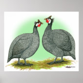 Guinea: Französisch Poster (Vorne)