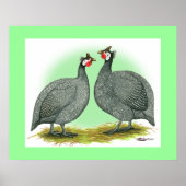 Guinea: Französisch Poster (Vorne)