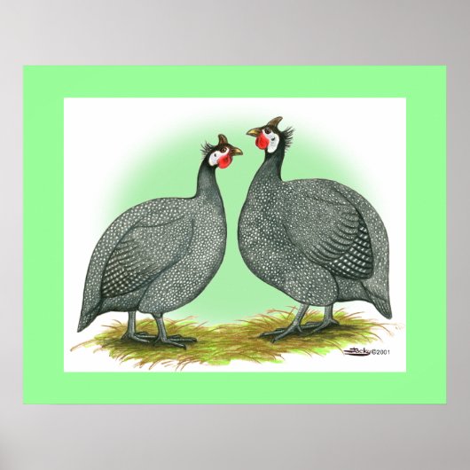 Guinea: Französisch Poster (Vorne)