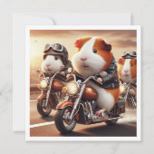 Guinea Funny Pig Einladung, Guinea Schweineburt Einladung (Vorderseite)