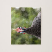 Guinea-Geflügel Porträt Puzzle (Vertikal)