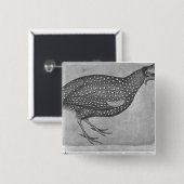 Guinea-Geflügel, vom Vallardi Album Button (Vorne & Hinten)