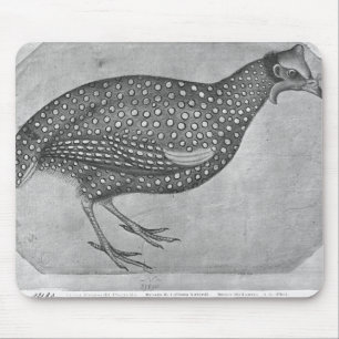 Guinea-Geflügel, vom Vallardi Album Mousepad